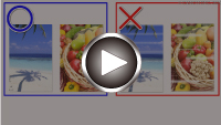 Oglejte si videoposnetek